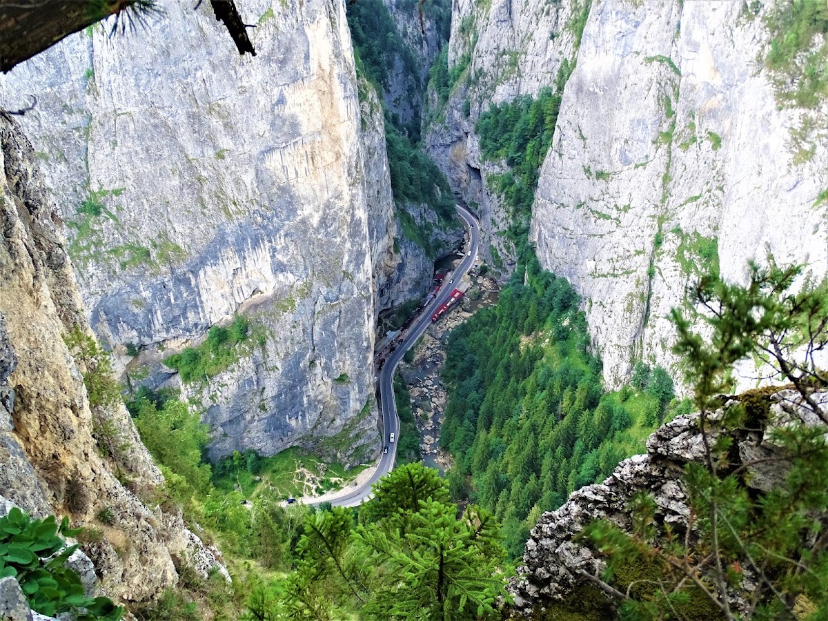Cheile Bicajelului - foto 2