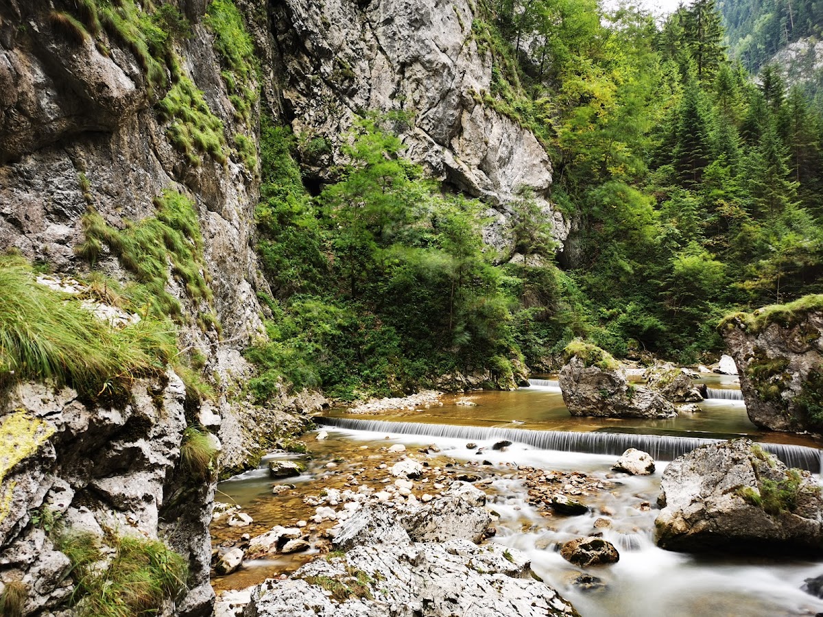 Cheile Bicazului - foto 4