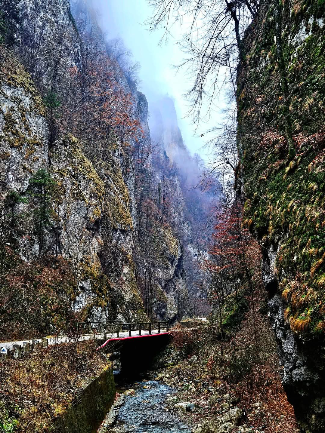 比斯特里察瓦尔恰峡谷 - foto 3