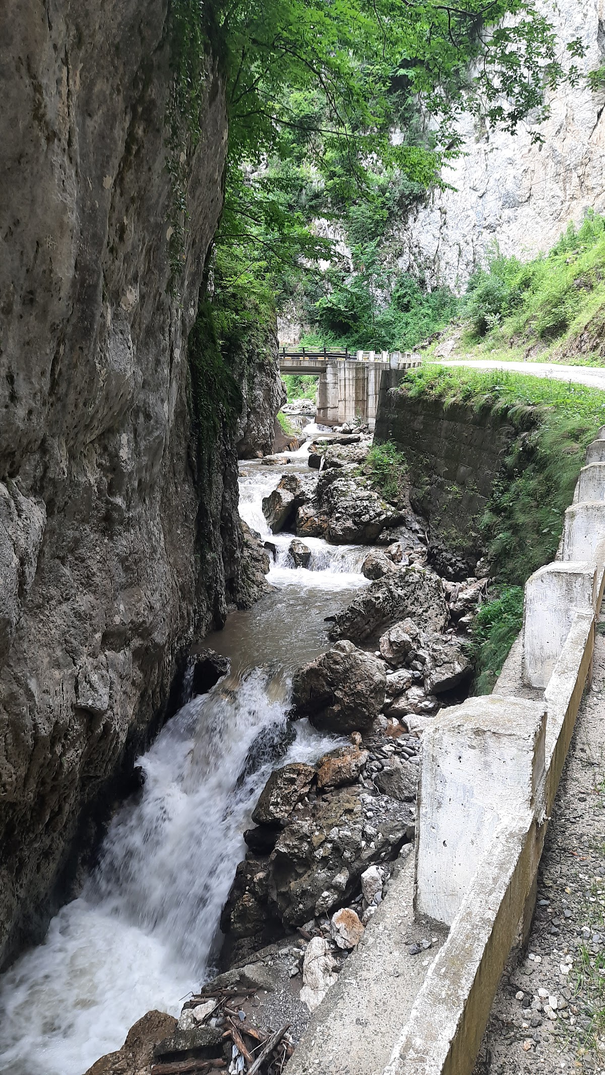比斯特里察瓦尔恰峡谷 - foto 4