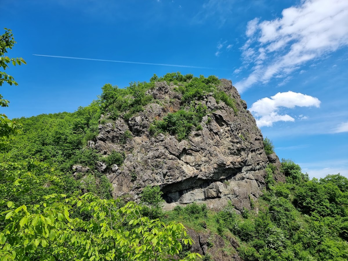 Cheile Borzești - foto 4