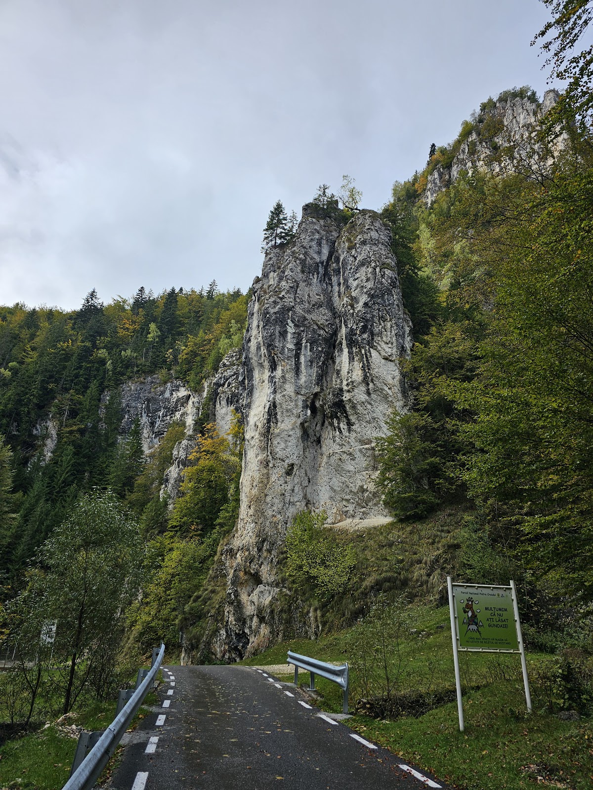 Cheile Brusturetului - foto 2