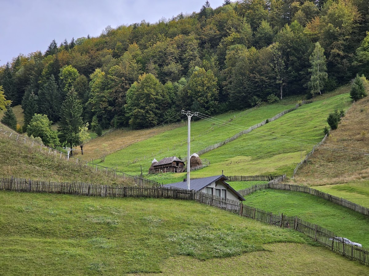Cheile Brusturetului - foto 3