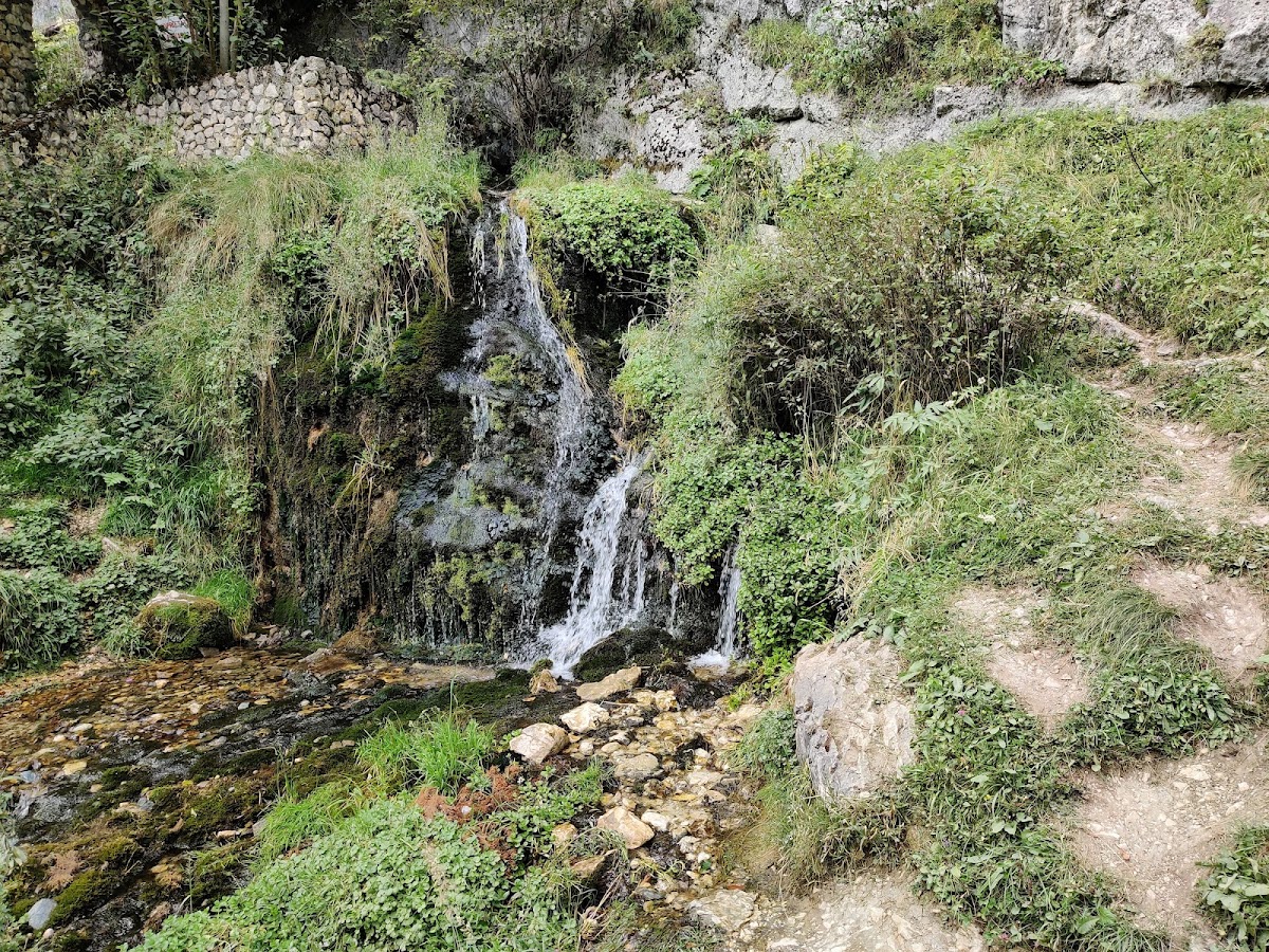 Cheile Brusturetului - foto 4
