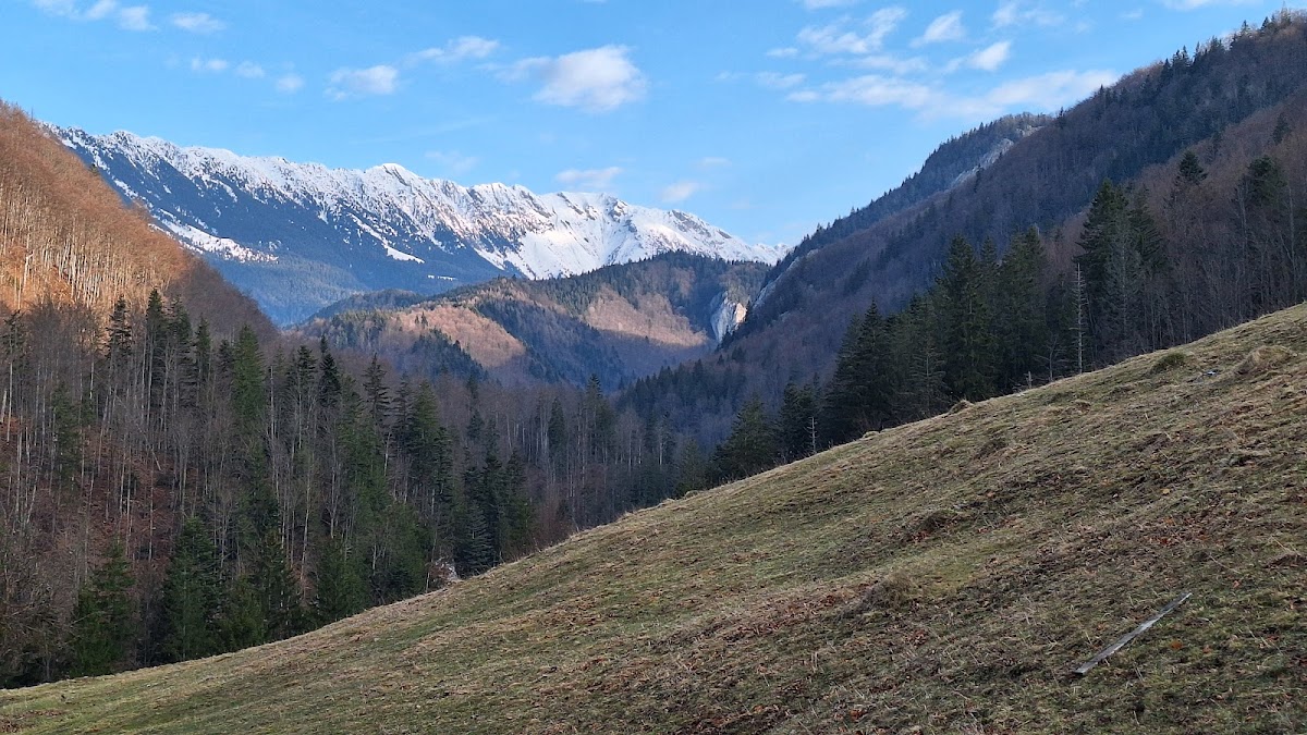 Cheile Brusturetului - foto 5