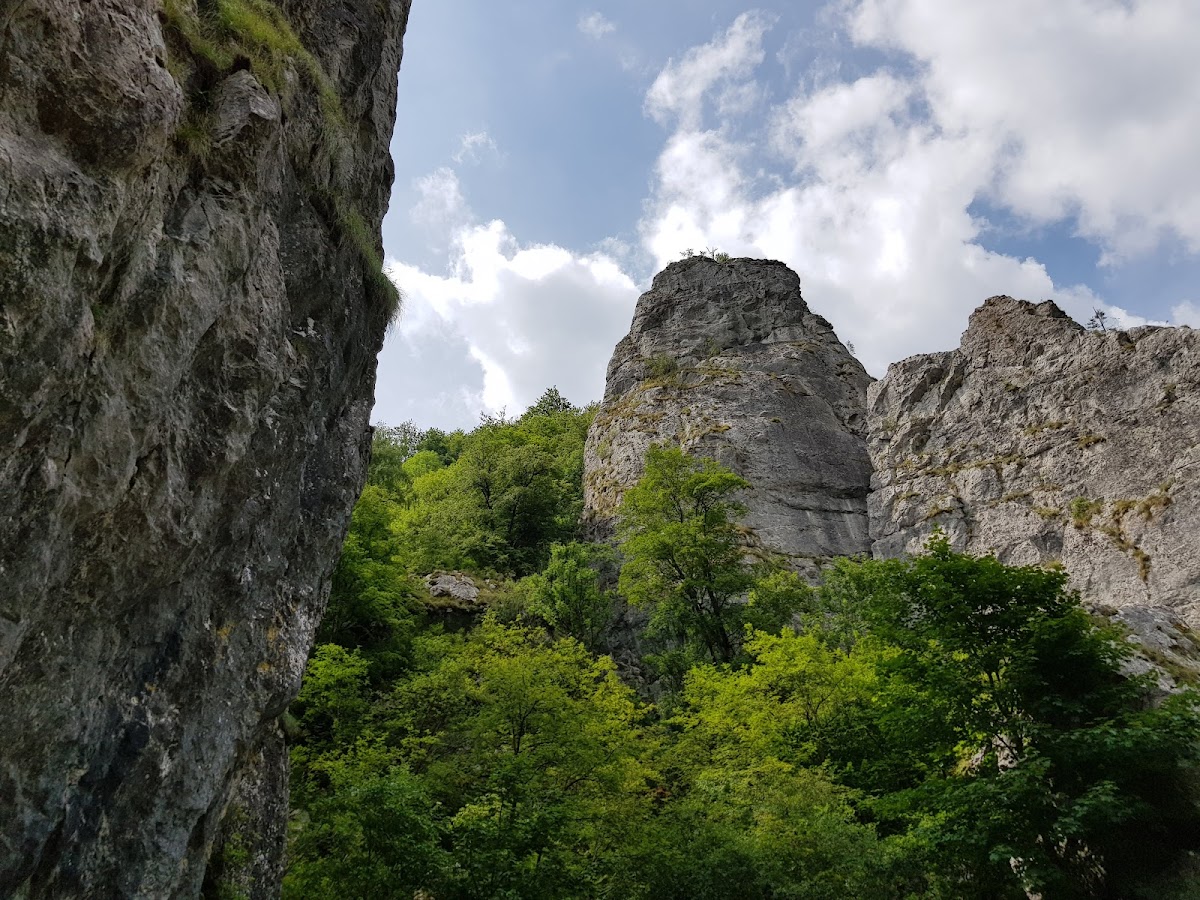 Cheile Caprei (Feneșului)