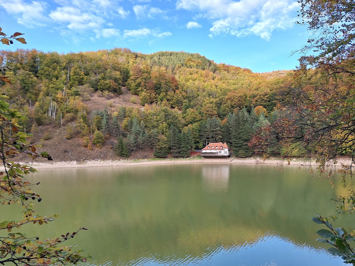 Cheile Caprei (Feneșului) - foto 2