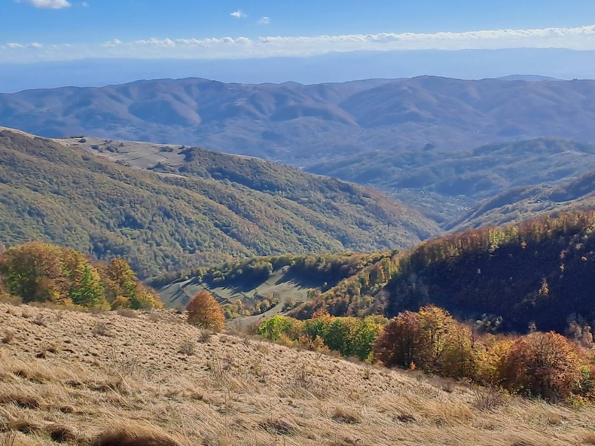 Cheile Caprei (Feneșului) - foto 4