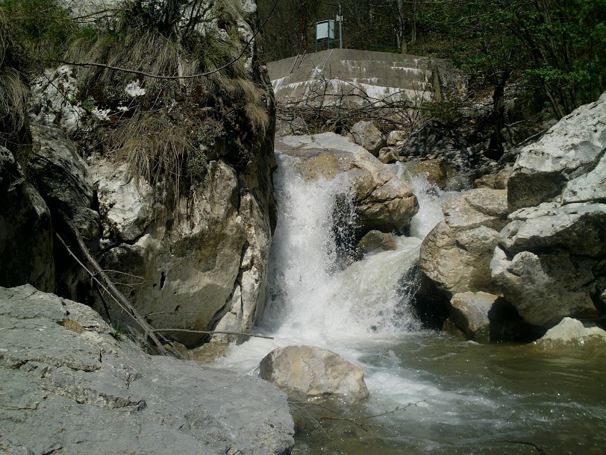 Cheile Caprei (Feneșului) - foto 5