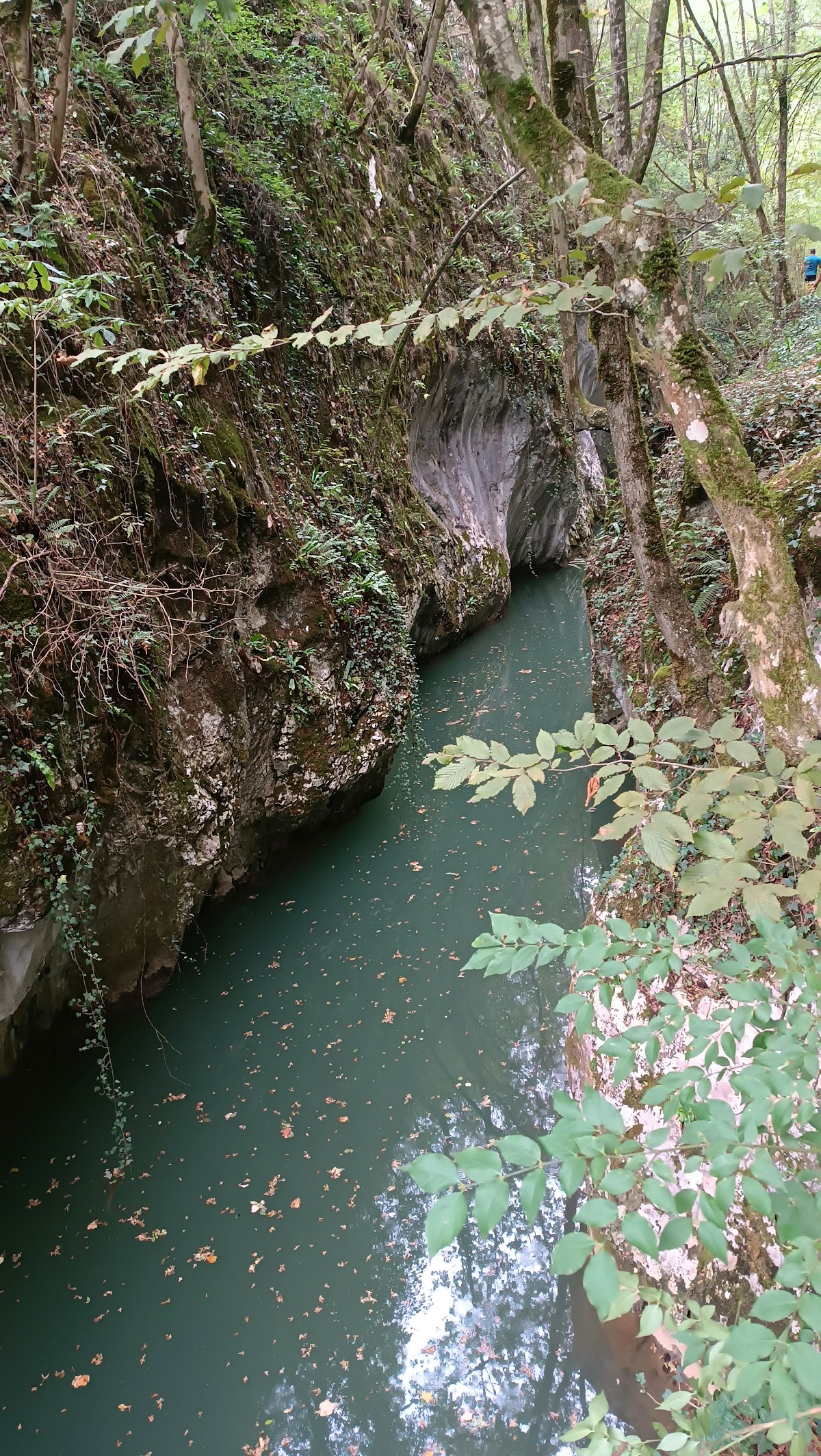 Cheile Carașului