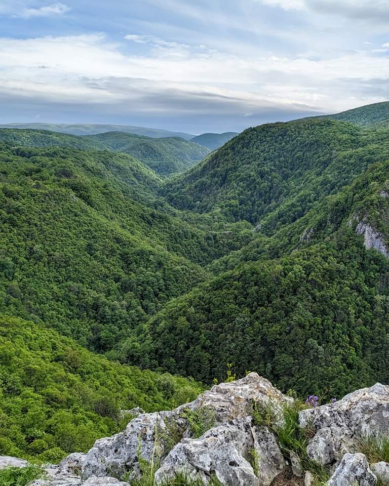 Cheile Carașului - foto 3