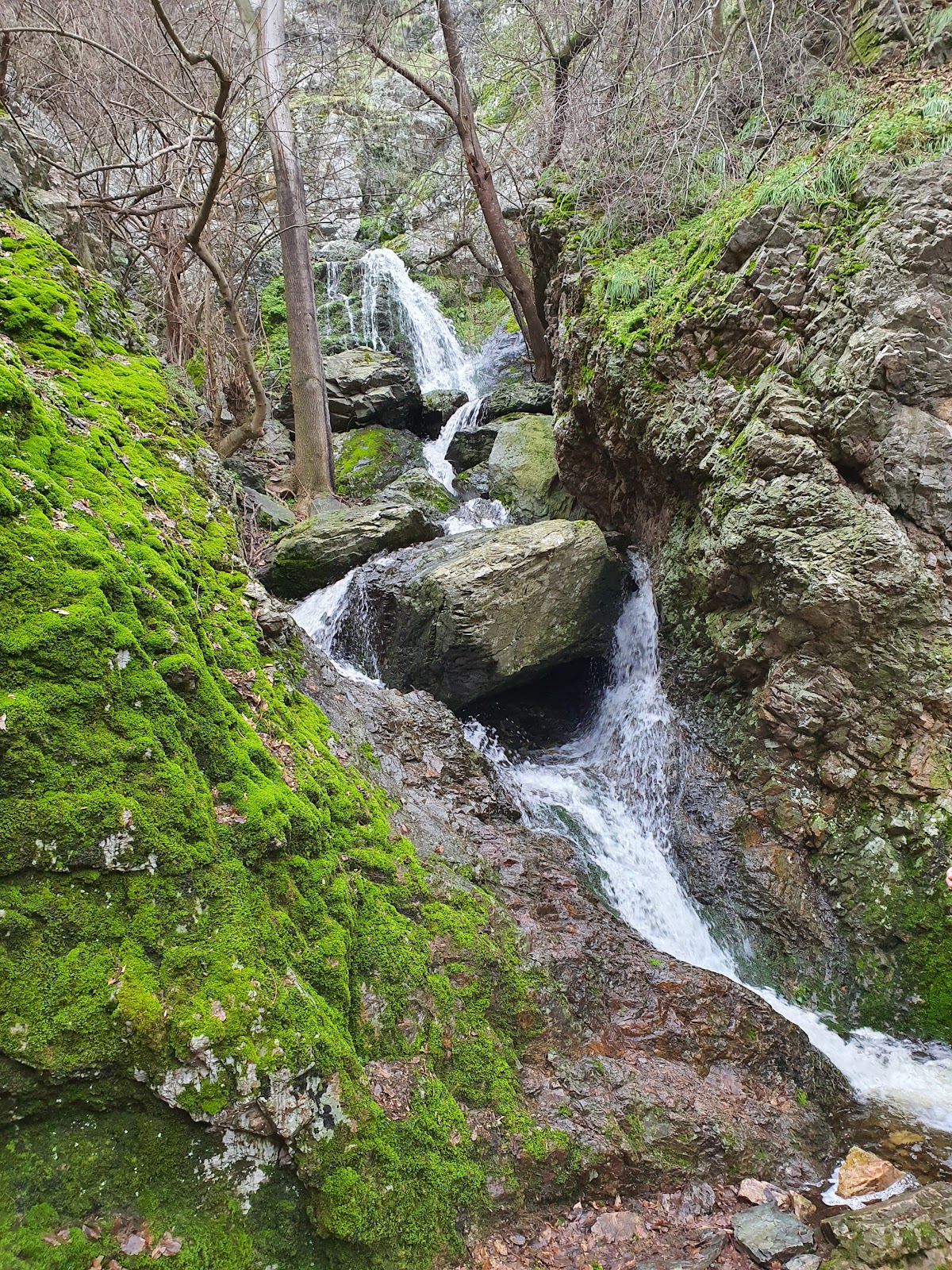 Cheile Chediului - foto 2