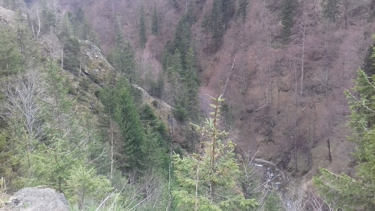 Cheile Cheiței - foto 5