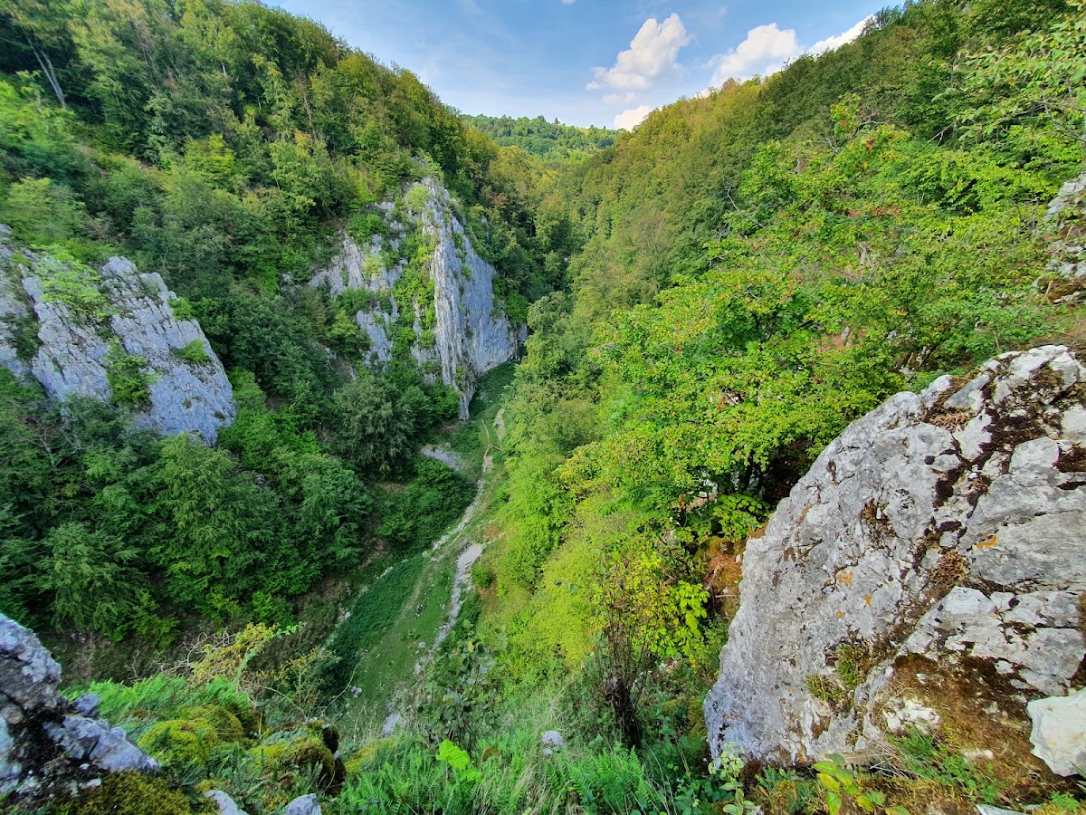 Cheile Cuților