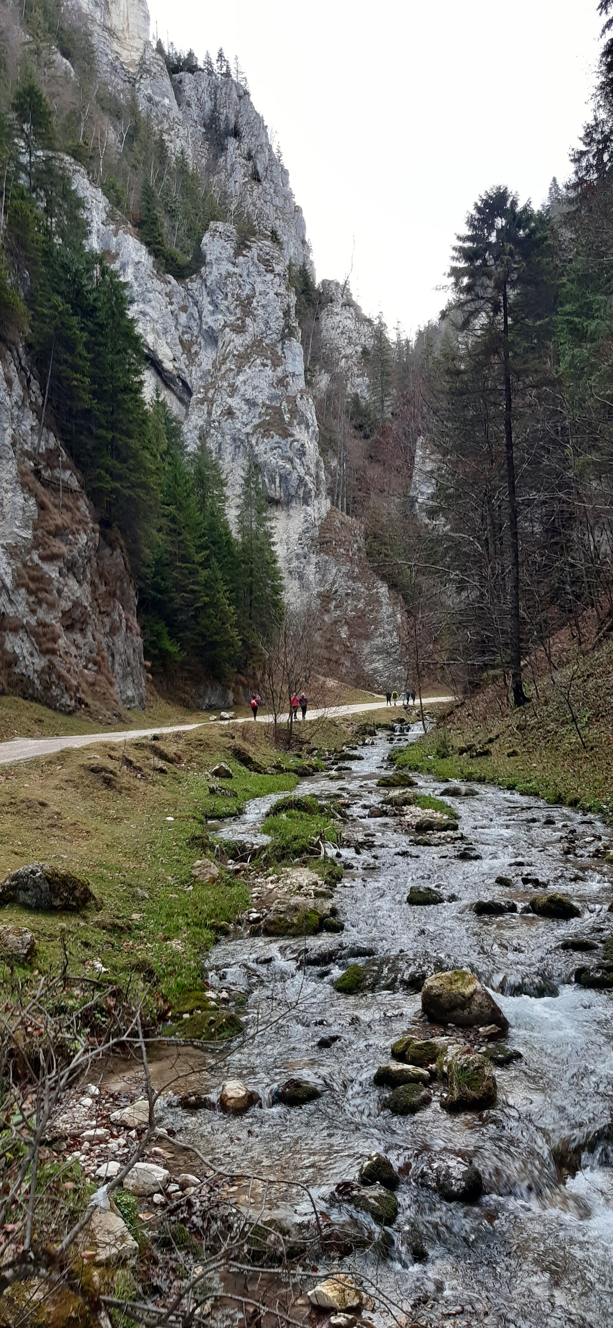 Cheile Dâmbovicioarei - foto 2