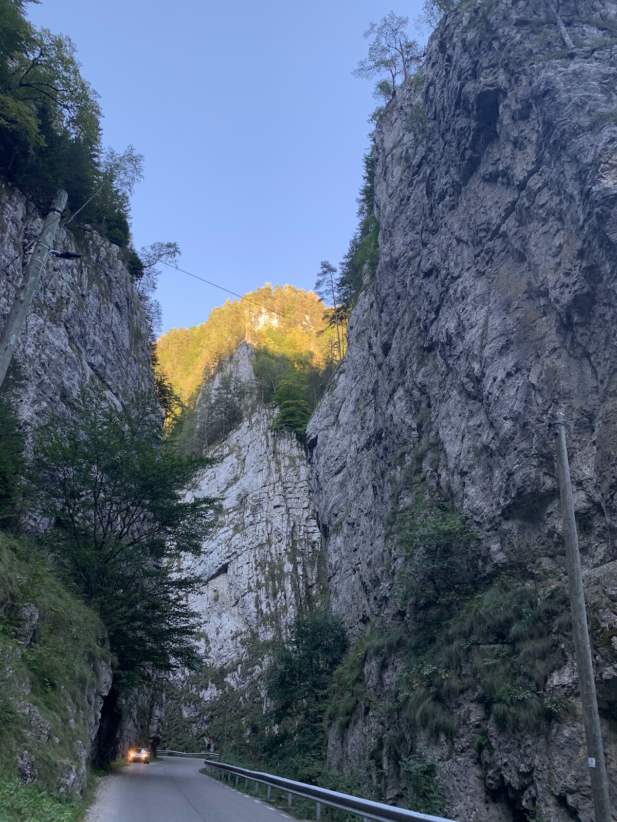 Cheile Dâmbovicioarei - foto 3