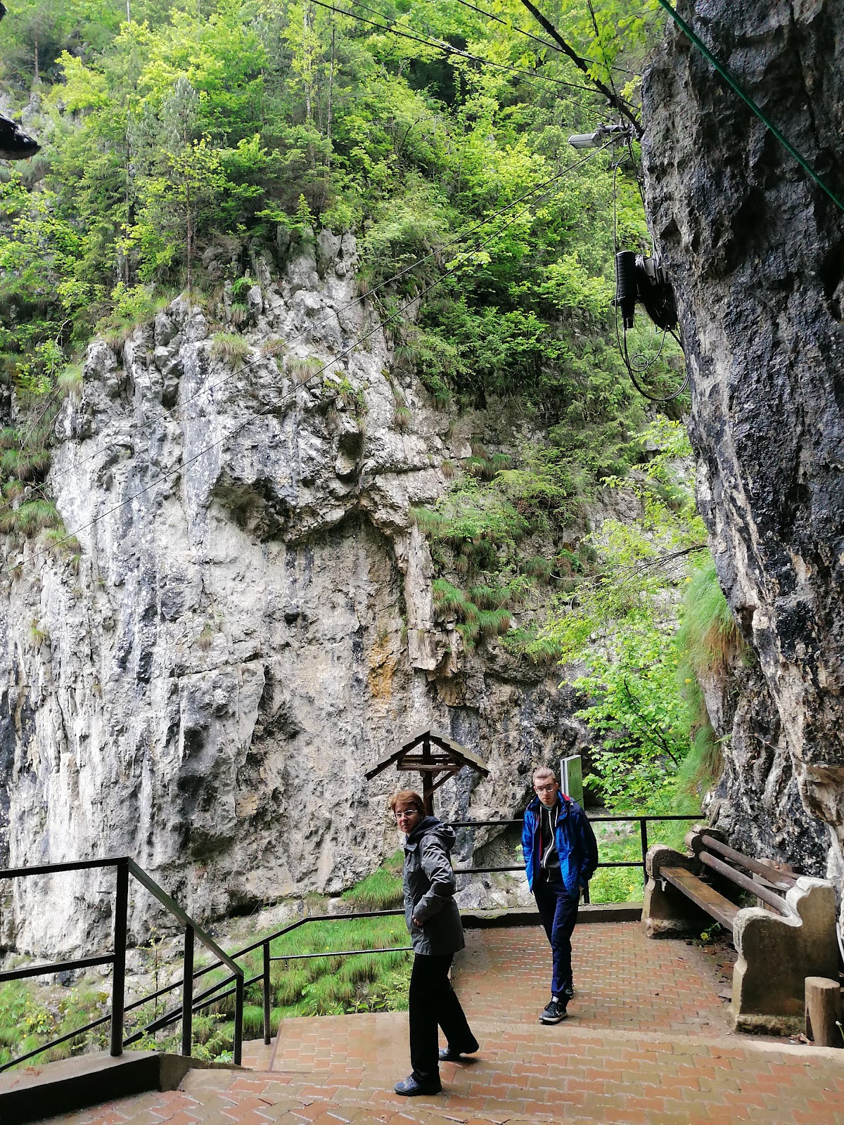 Cheile Dâmbovicioarei - foto 5