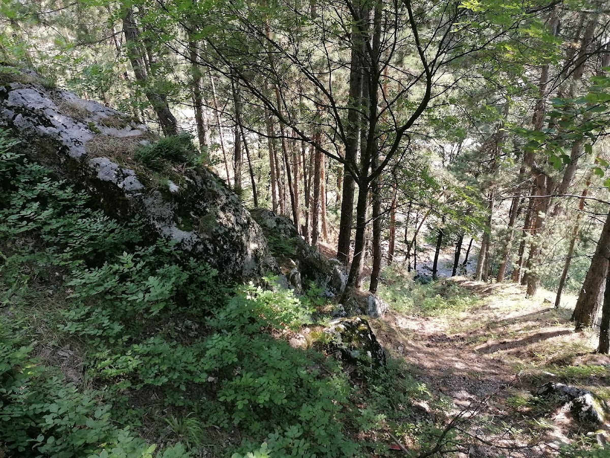 Cheile Galbenului - foto 2
