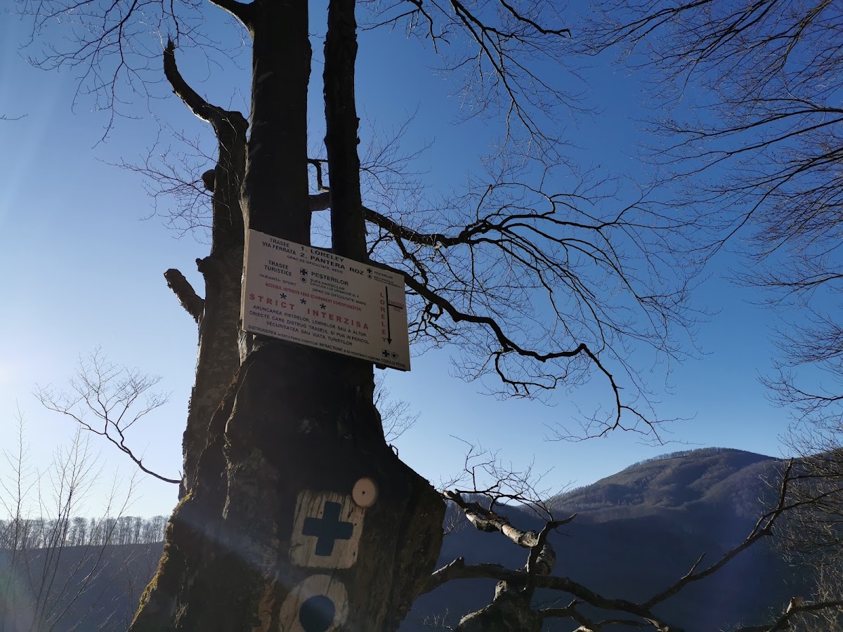 Cheile Galbenului - foto 5
