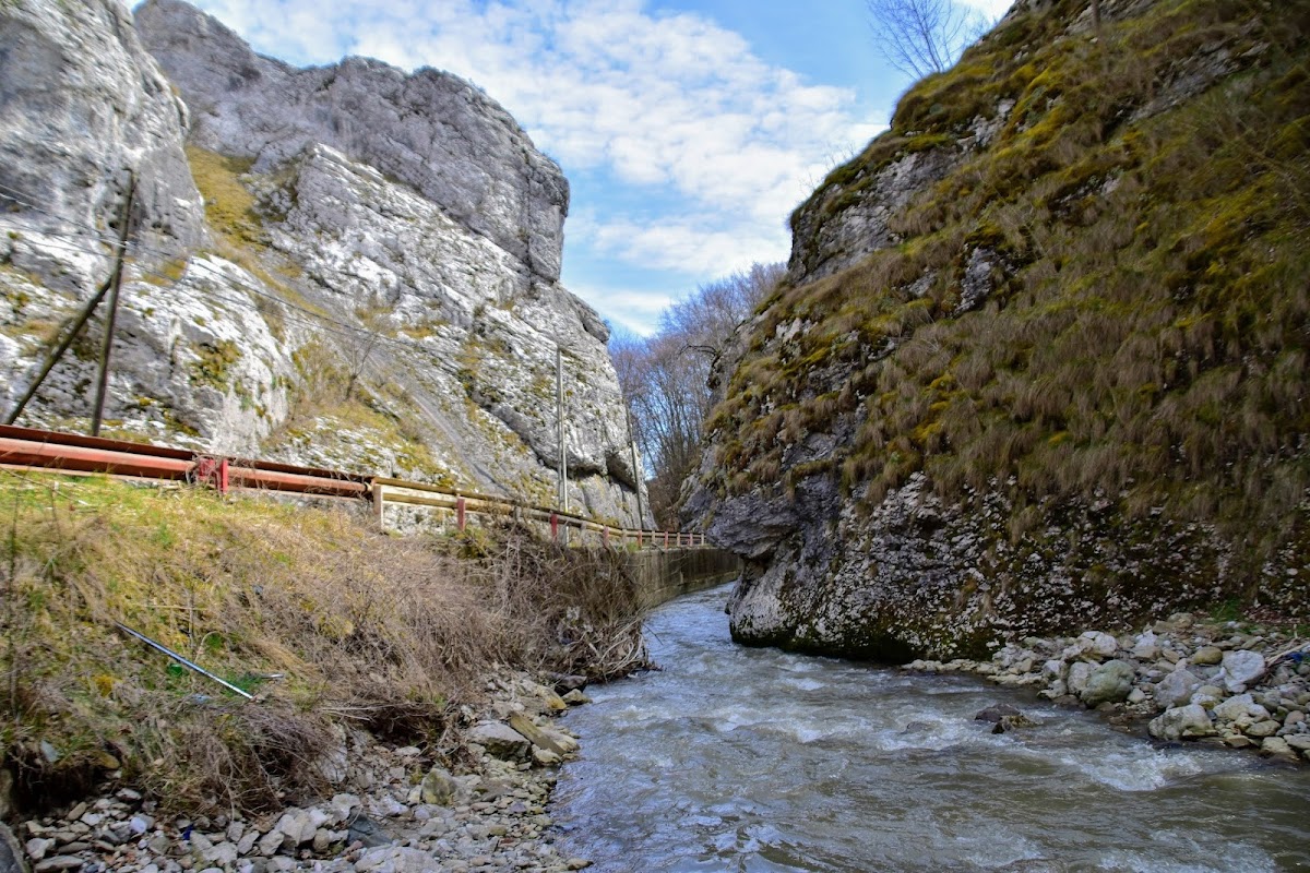 Cheile Gălzii - foto 3