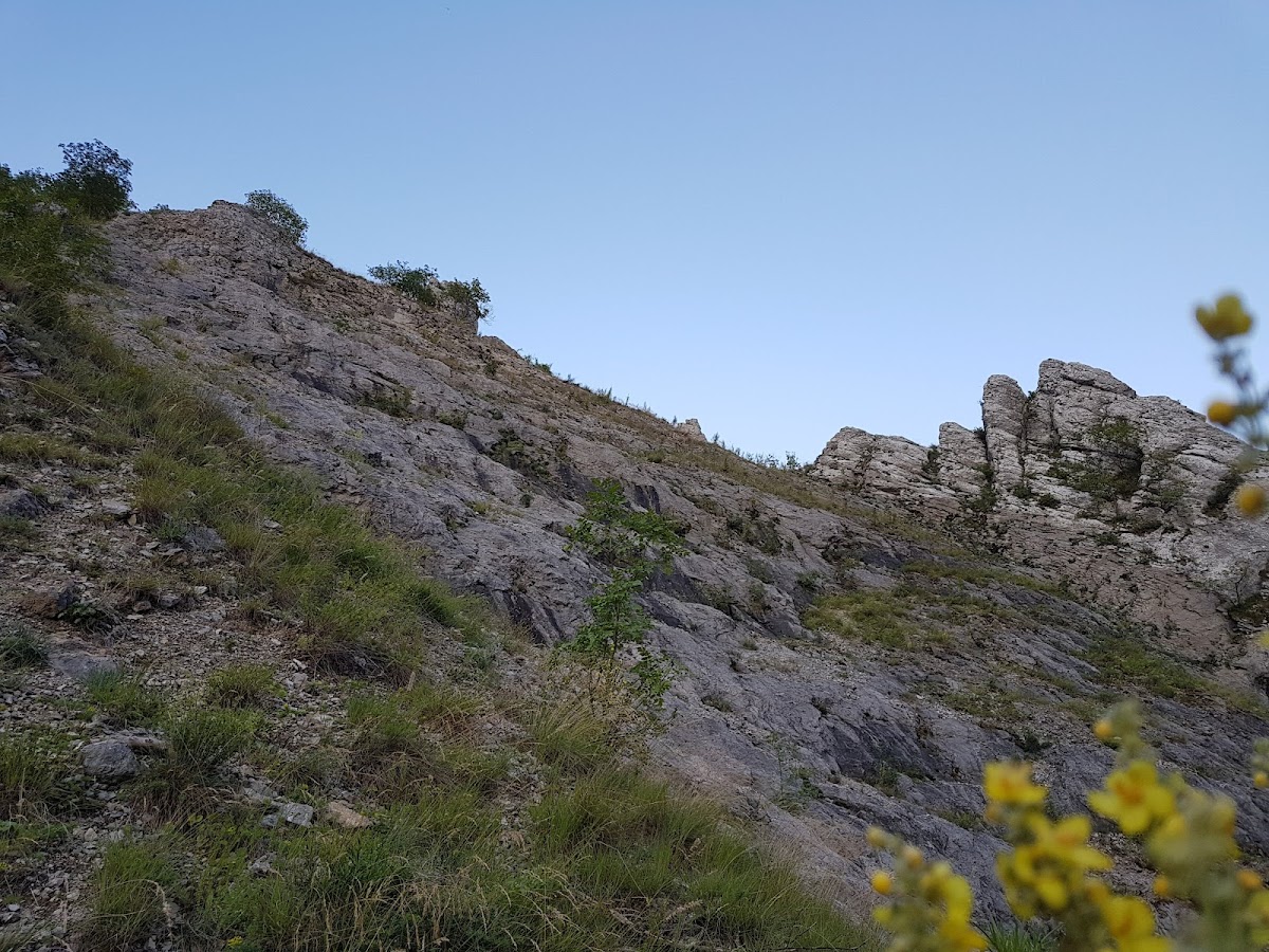 Cheile Gălzii - foto 4