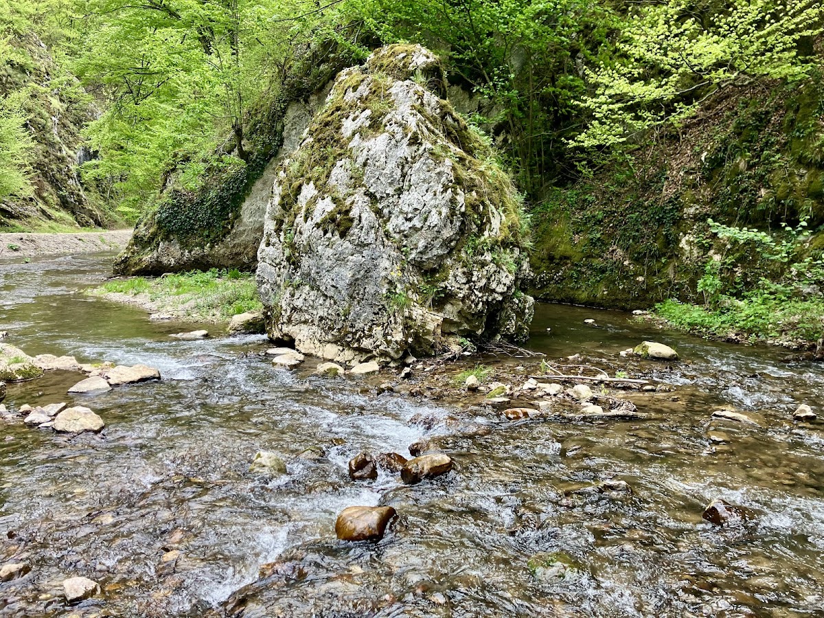 Cheile Lazuri - foto 4
