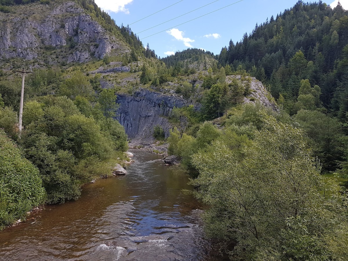 Scărişoara