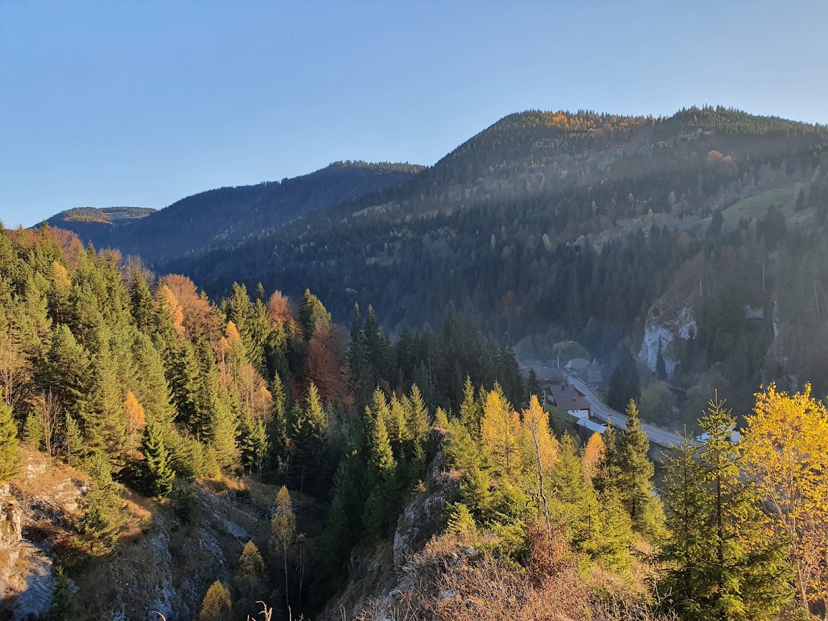 Cheile Mândruțului - foto 2