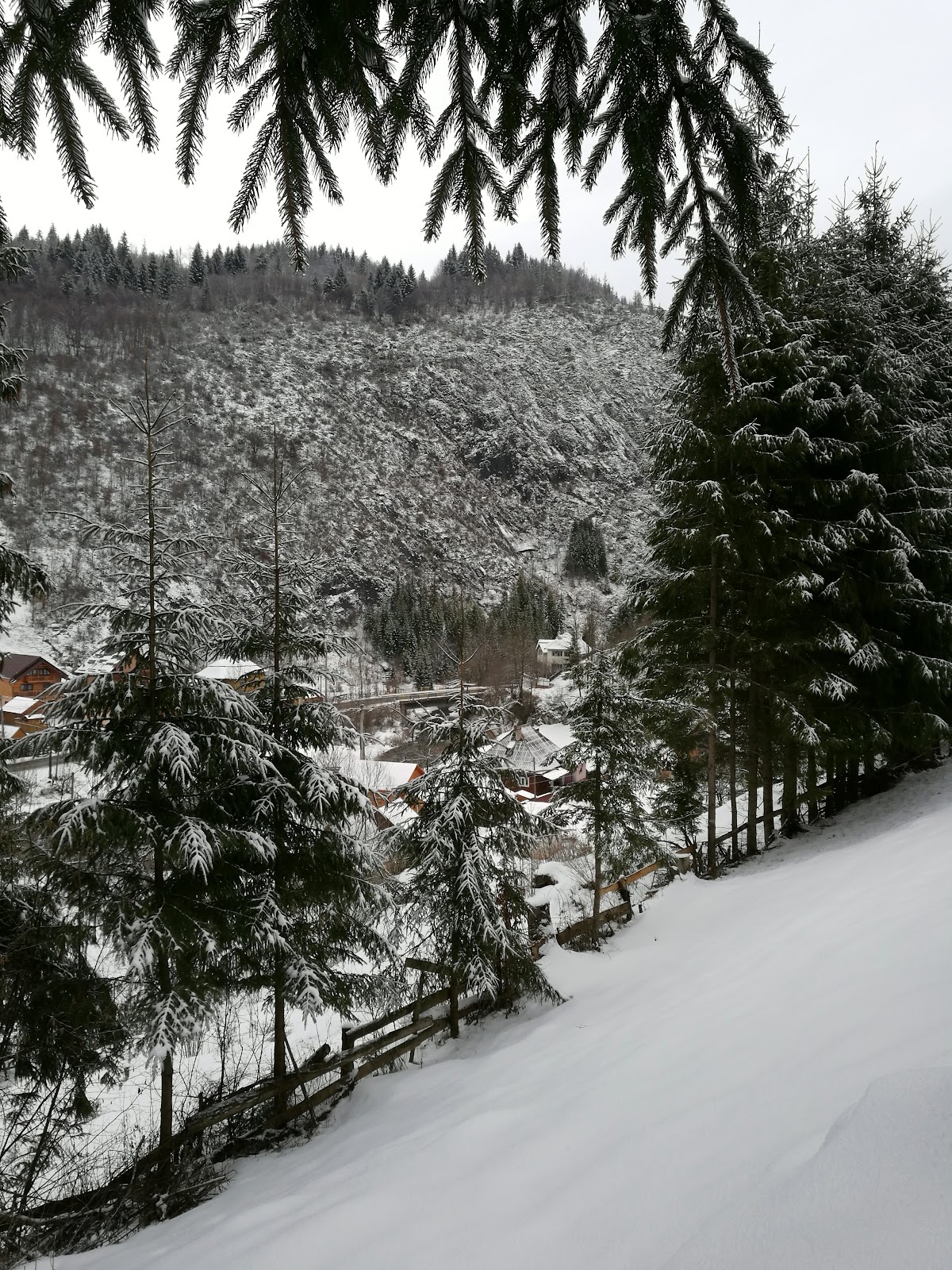 Cheile Mândruțului - foto 3