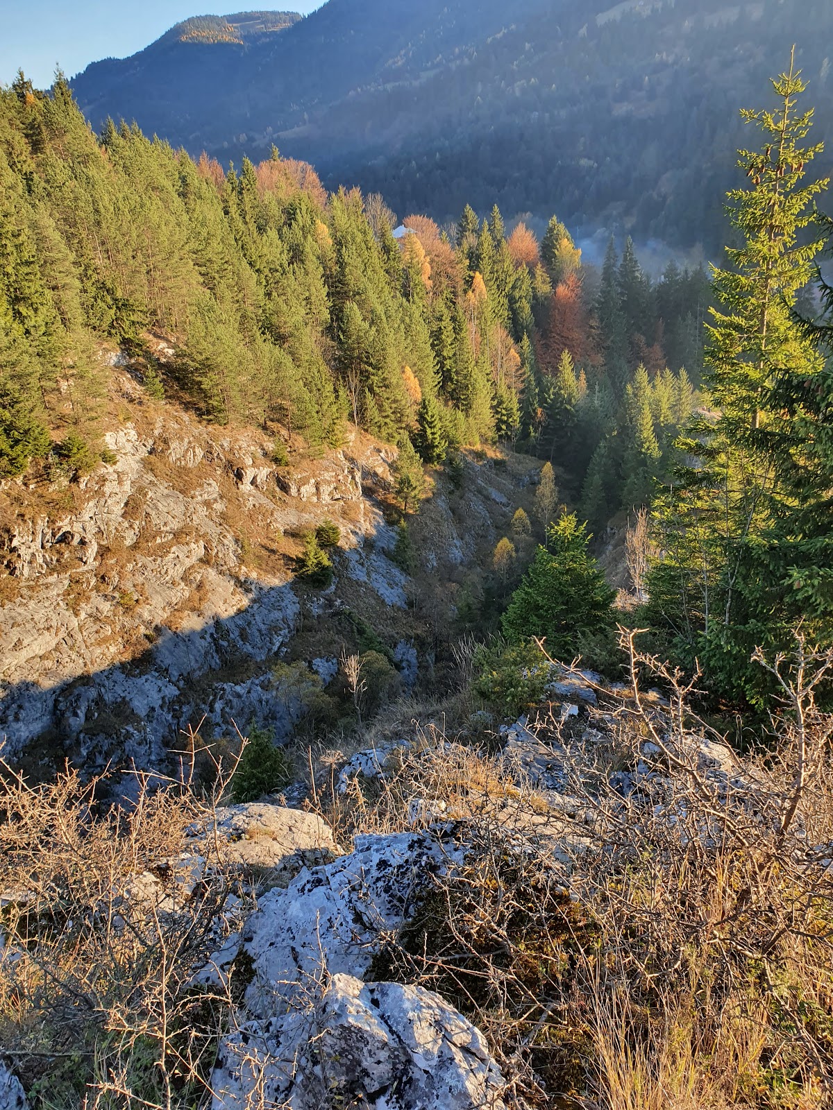Cheile Mândruțului - foto 4