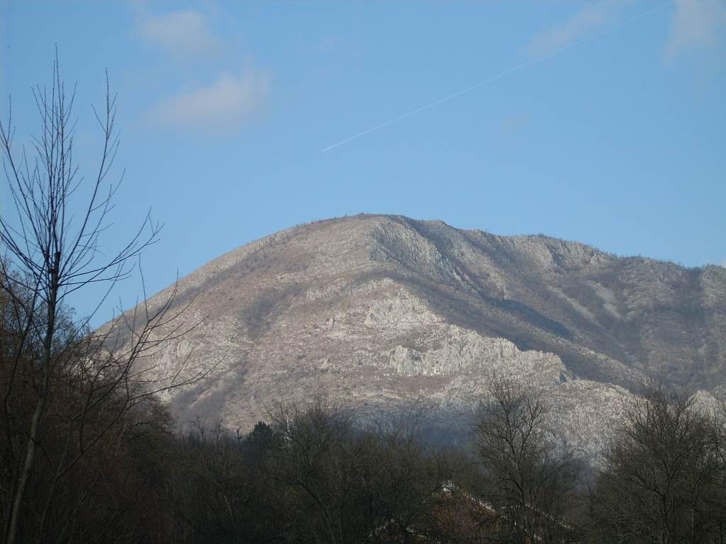 Stăuini