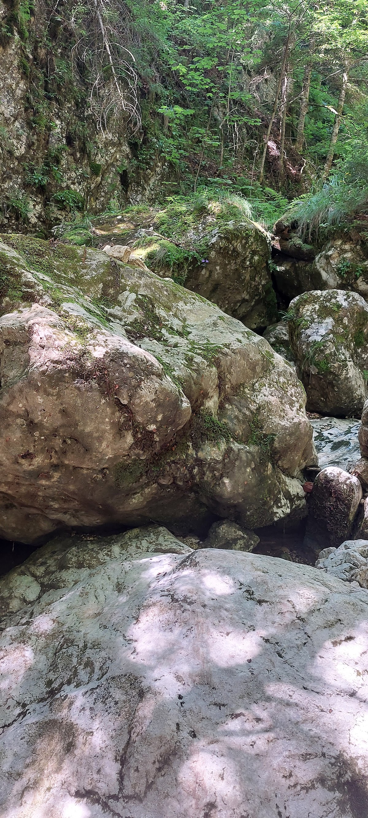 Cheile Pisicii - foto 2
