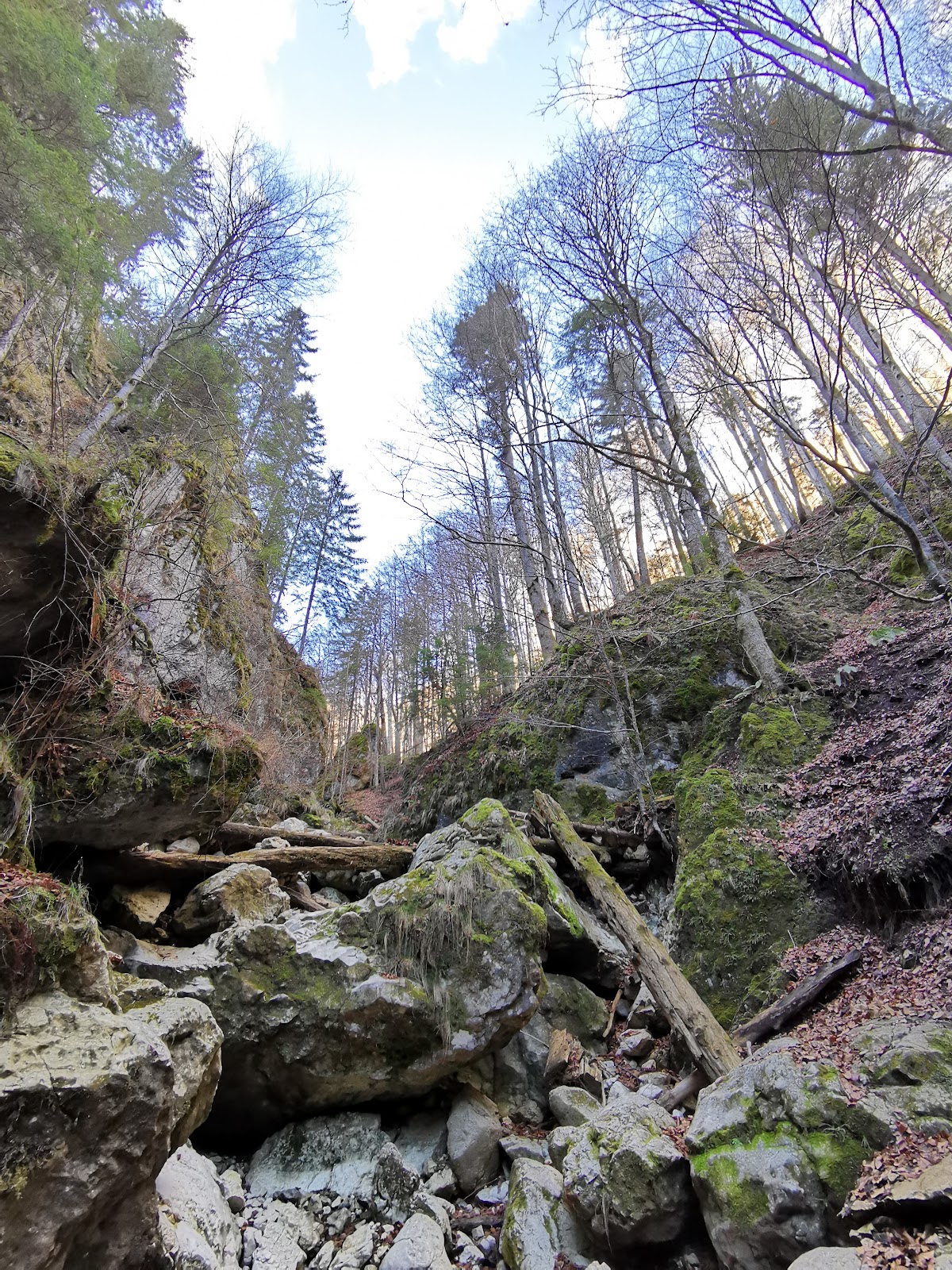 Cheile Pisicii - foto 3