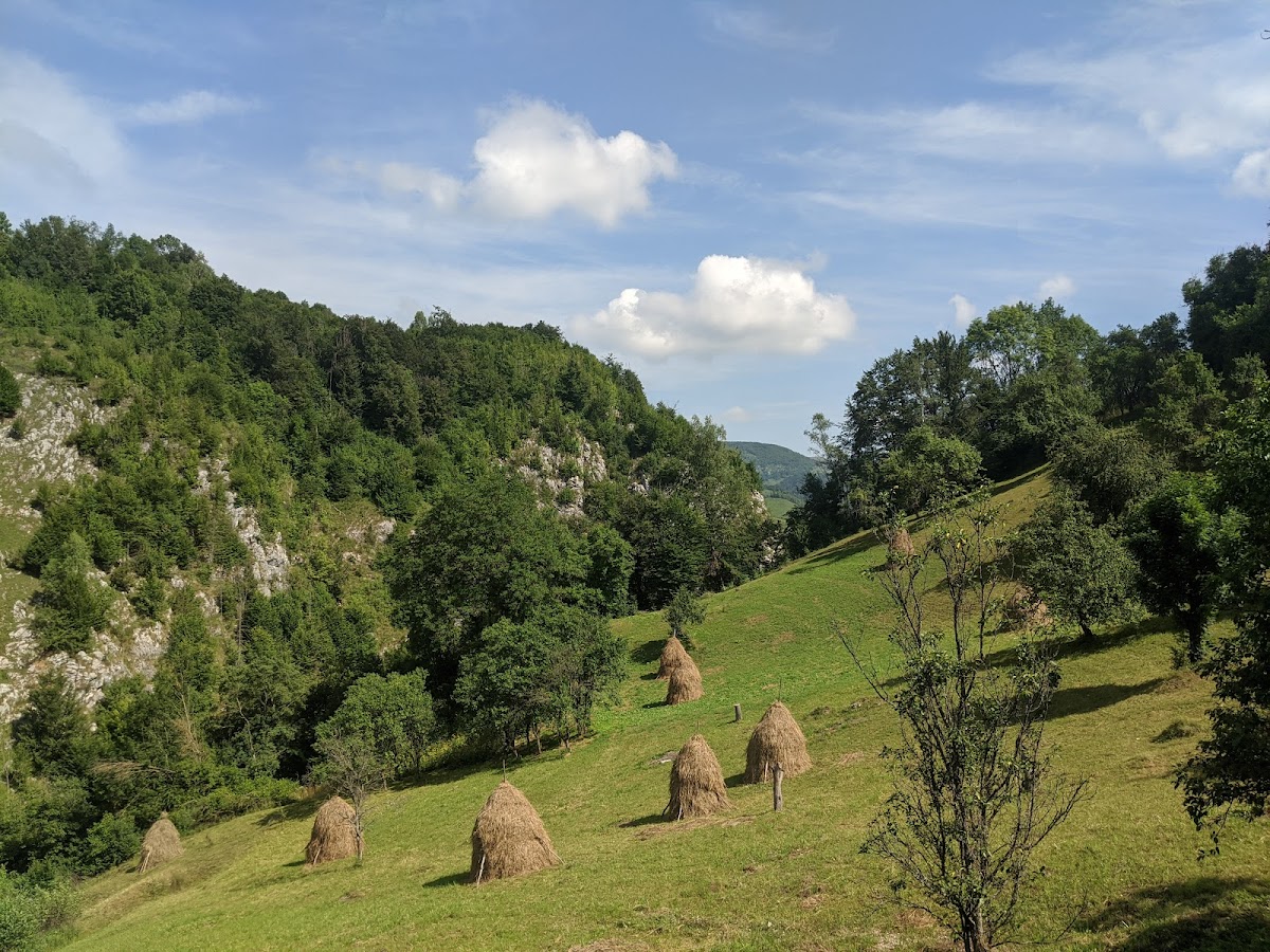 Cheile Pravului - foto 3