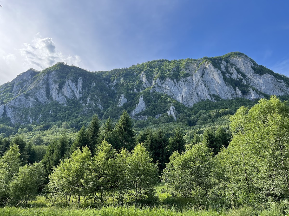 Gorge de Râșnoavei - foto 3