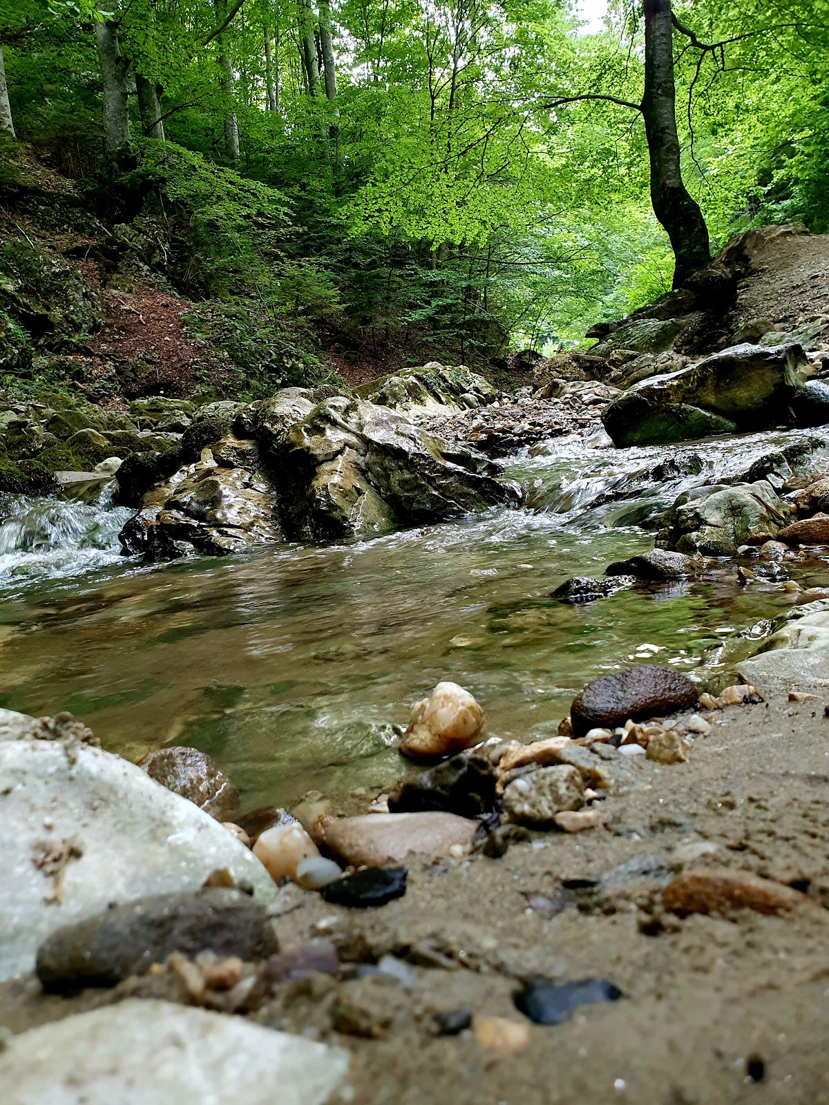 Gorge de Râșnoavei - foto 5