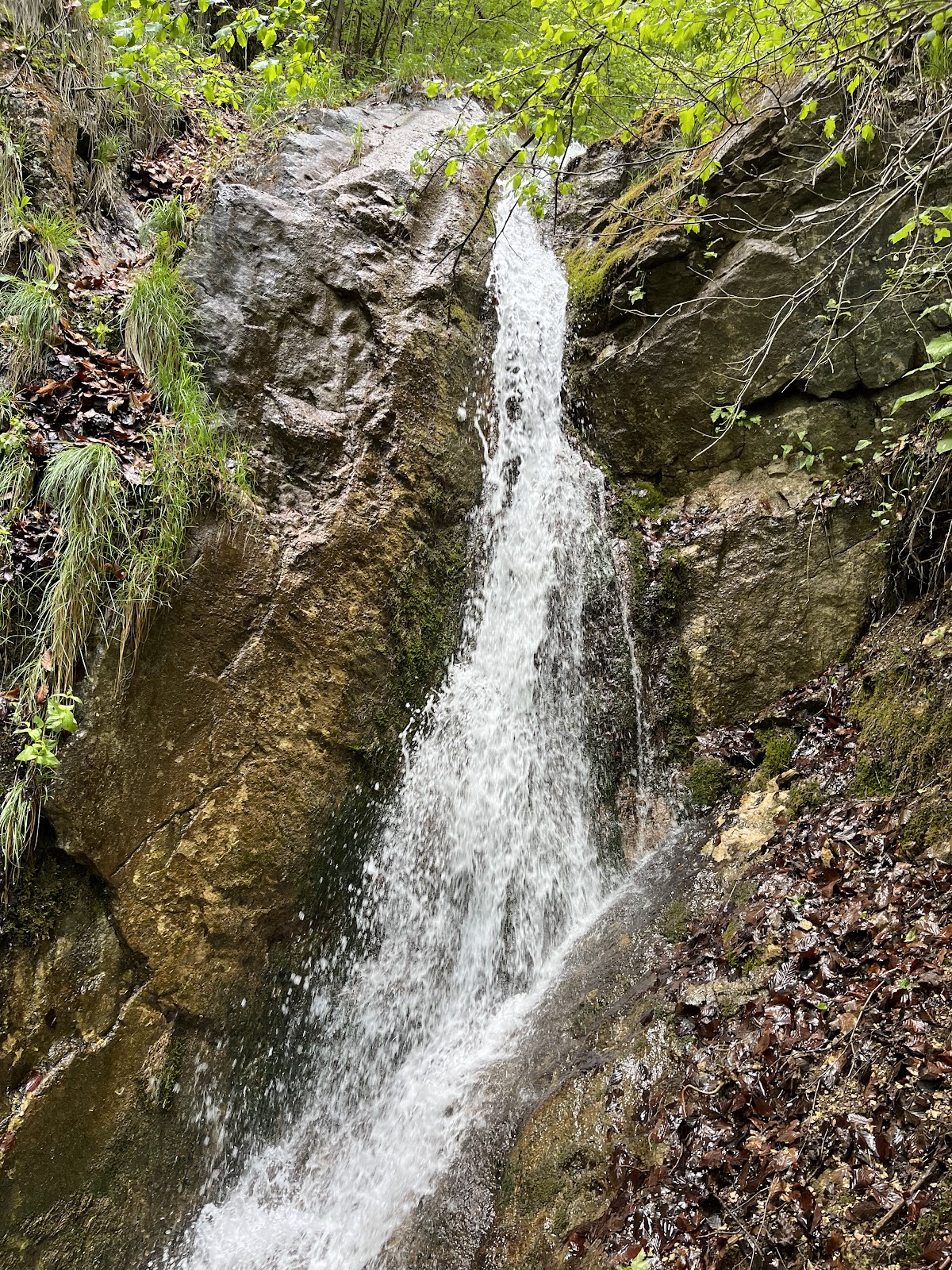 Siloșului-szoros - foto 2
