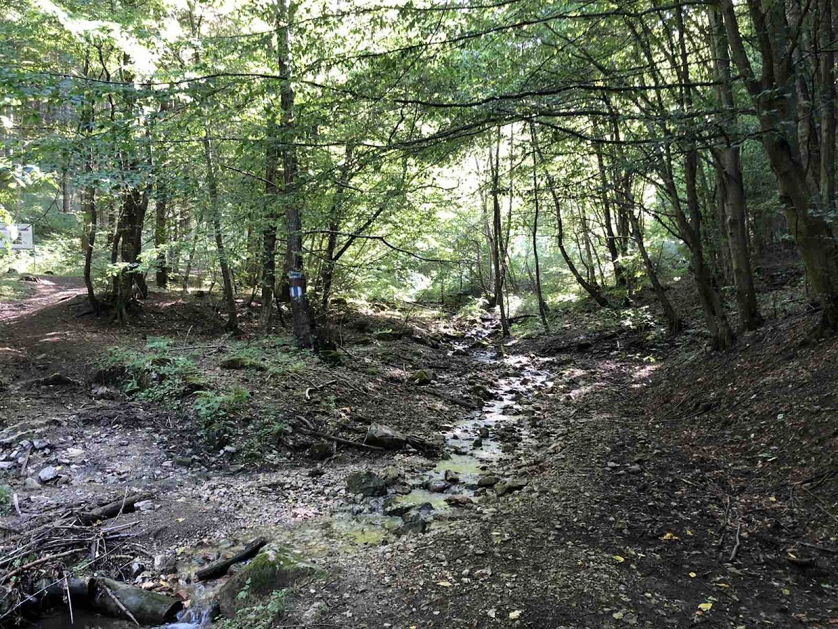 Siloșului-szoros - foto 5