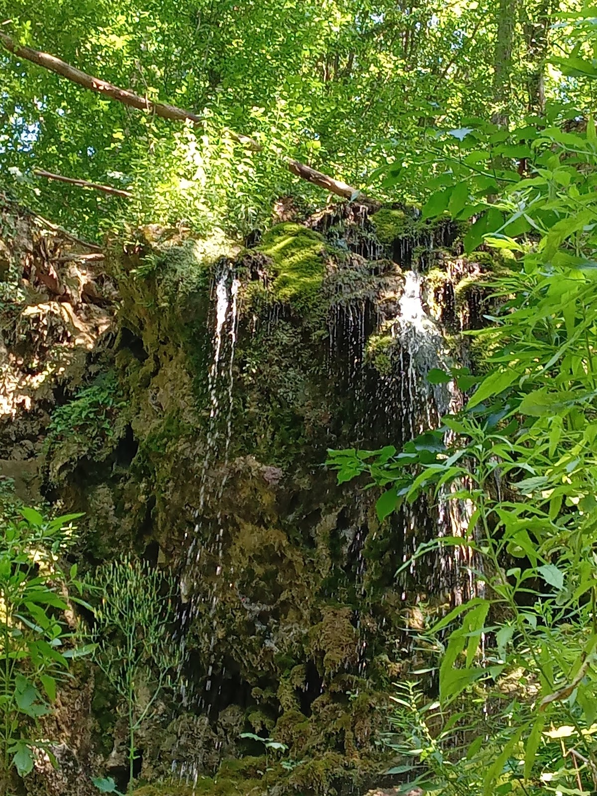 Cheile Siriniei