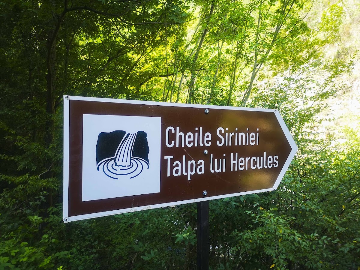 Cheile Siriniei - foto 2