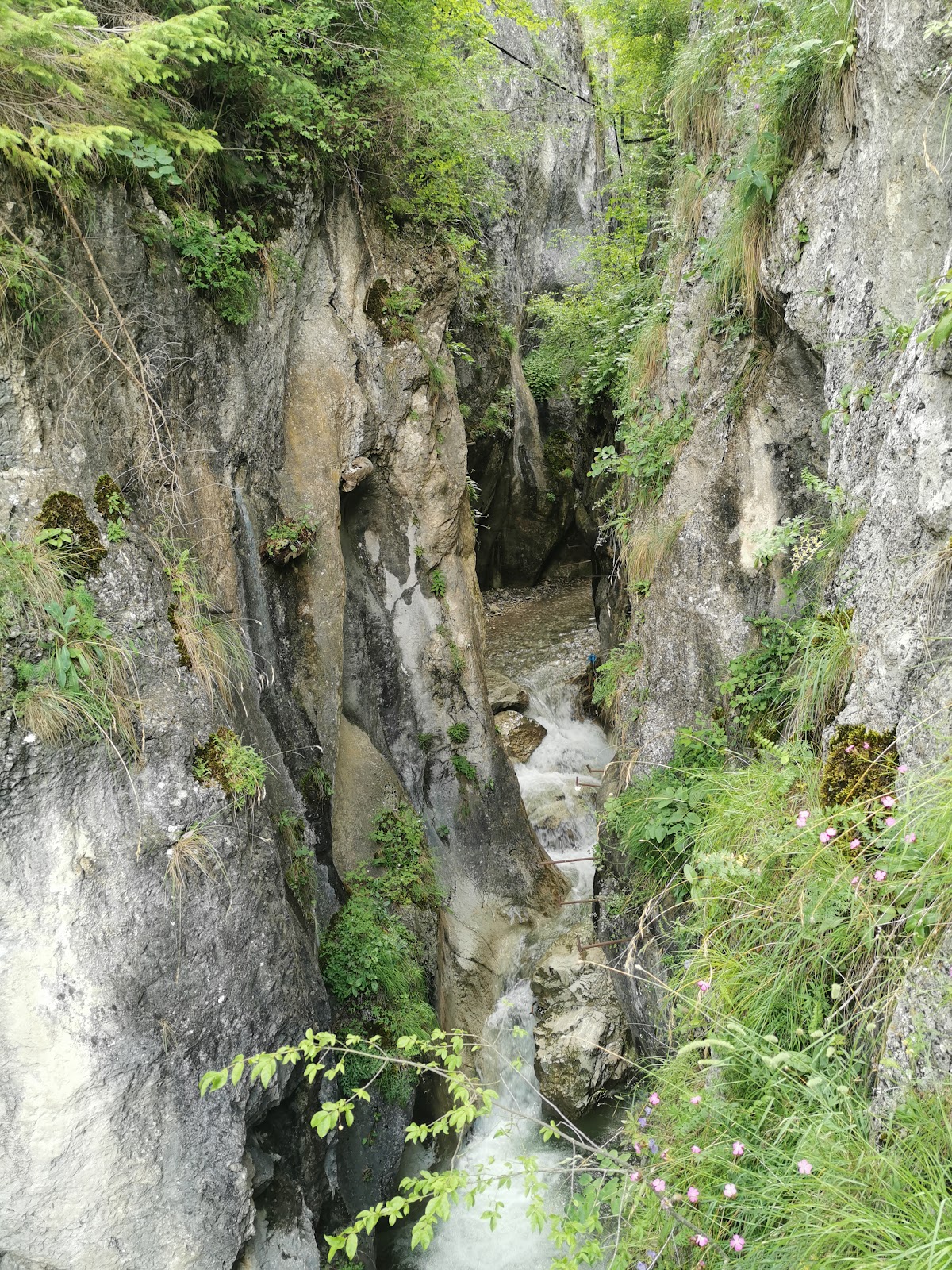 Cheile Șugăului