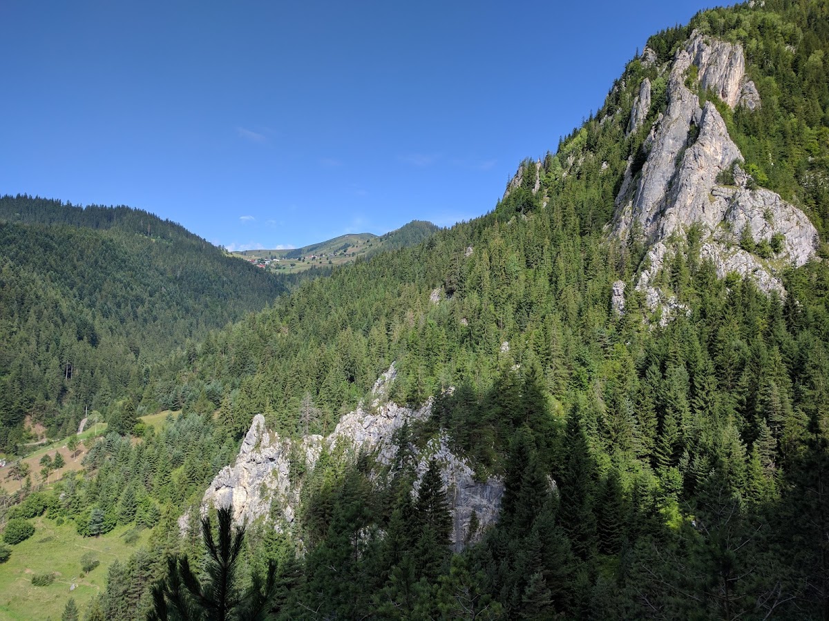Cheile Șugăului - foto 4