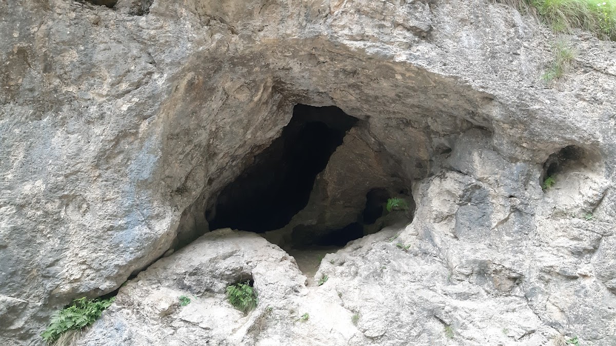 Cheile Tăii - foto 1