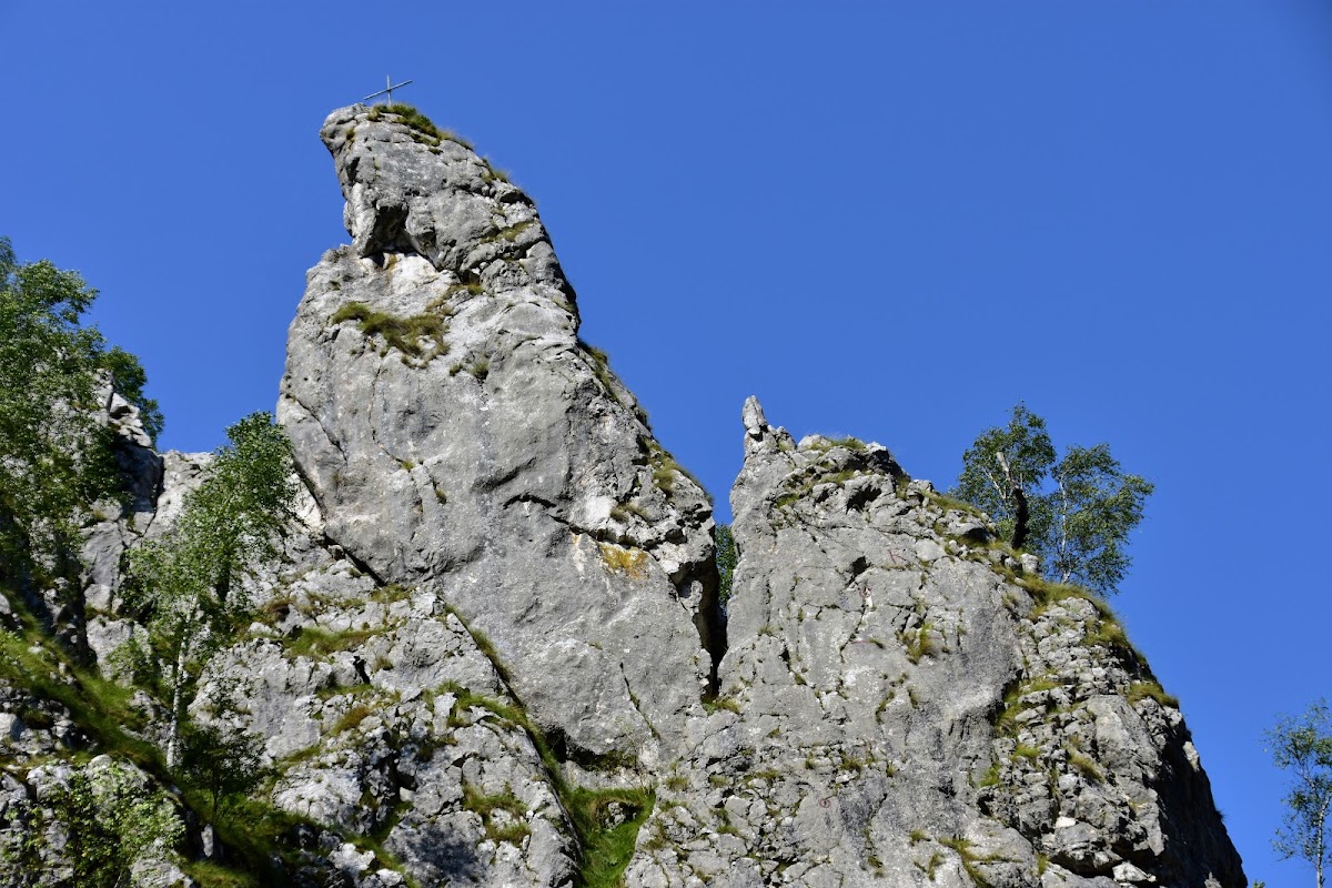 Cheile Tăii - foto 2