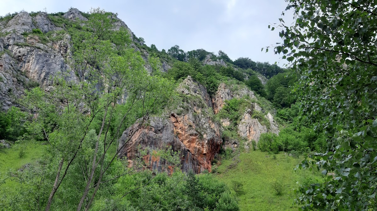 Cheile Tăii - foto 5