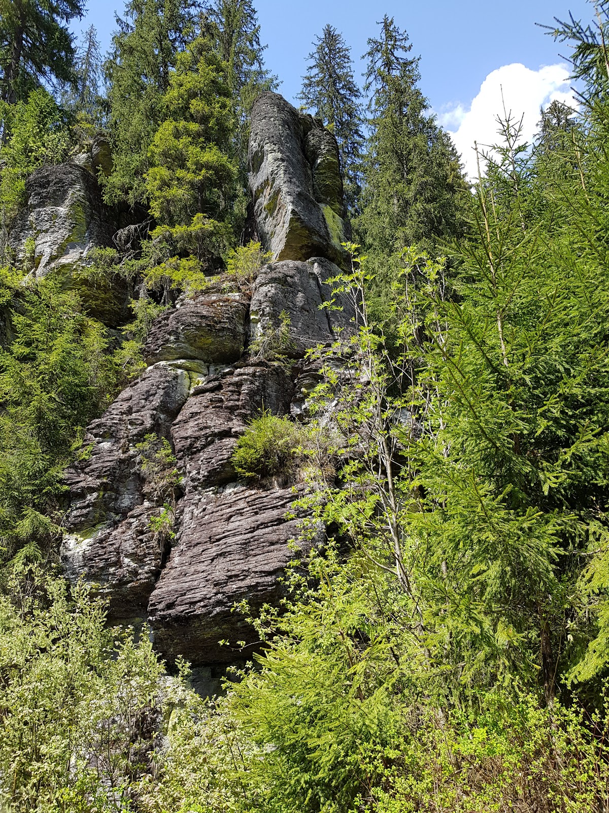 Cheile Tătarului (M-ții Igniș) - foto 2