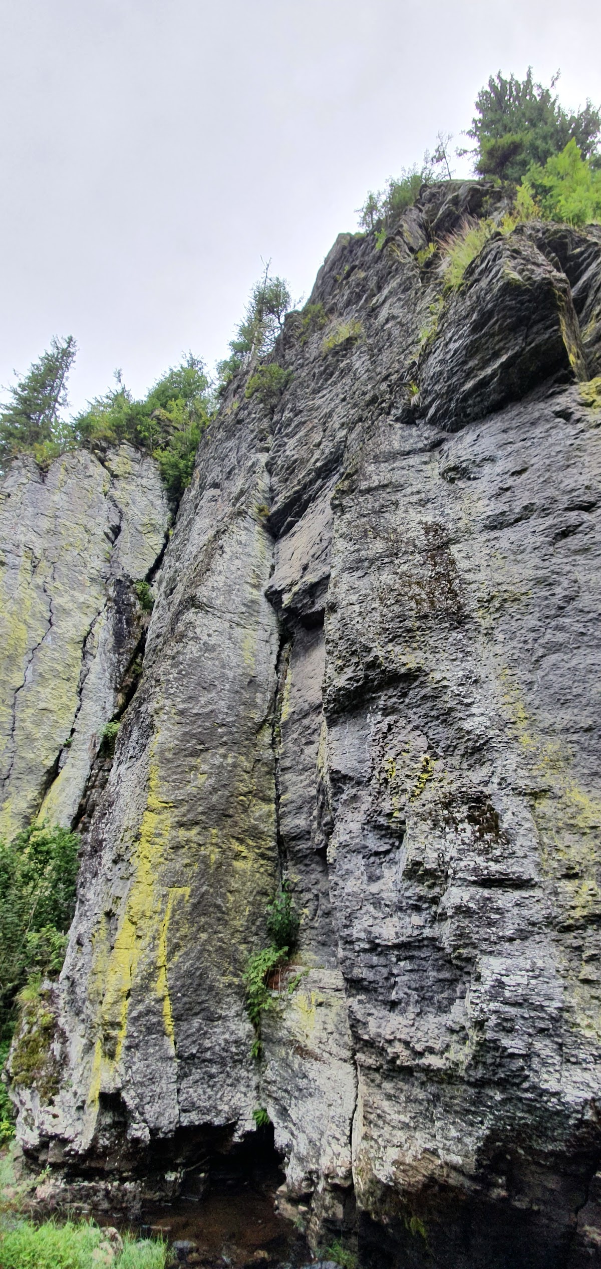 Cheile Tătarului (M-ții Igniș) - foto 3