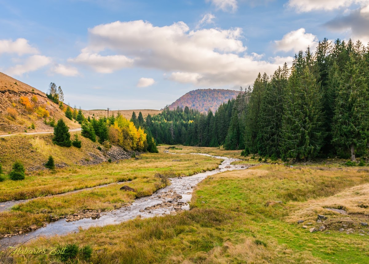 Cheile Tătarului (M-ții Igniș) - foto 4