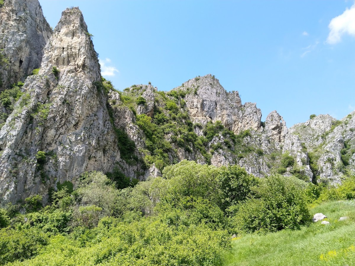 Cheile Tureniului - foto 3