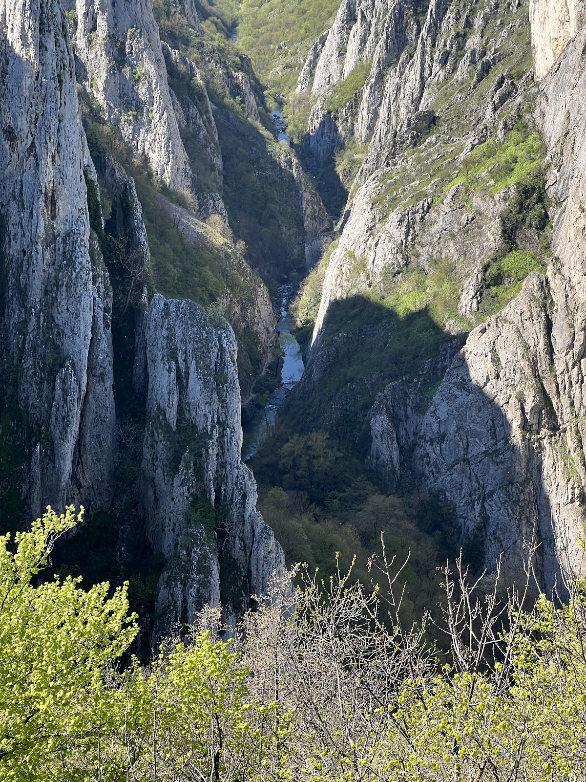 Cheile Turzii - foto 4